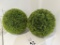 CYPRESS TOPIARY BALLS