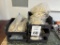 LOT CONSISTING OF ASSORTED SHELLS