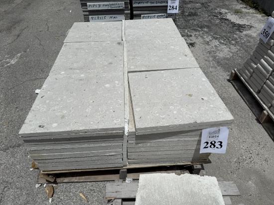 LOT CONSISTING OF ASSORTED SIZE SHELL STONE TILES