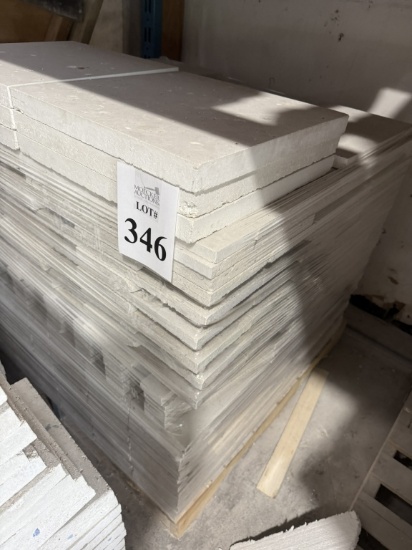LOT CONSISTING OF ASSORTED SIZE SHELL STONE TILES
