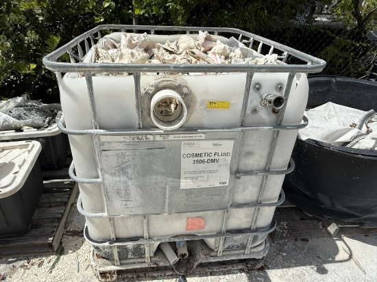 LOT CONSISTING OF CONCH SHELLS