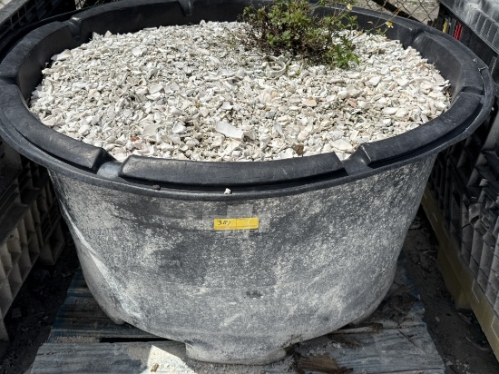 PALLET WITH CRUSHED CONCH SHELLS