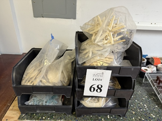 LOT CONSISTING OF ASSORTED SHELLS