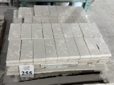 LOT CONSISTING OF SHELL STONE TILES