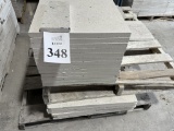 LOT CONSISTING OF ASSORTED SIZE SHELL STONE TILES