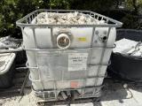 LOT CONSISTING OF CONCH SHELLS
