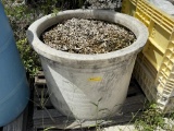 PLASTIC TUB FULL OF CRUSHED SEA SHELLS