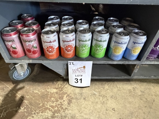 LOT CONSISTING OF (22) ASSORTED SPARKLING WATER