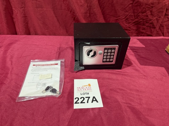 INTELLIGENT ELECTRONIC SAFE (NEW)