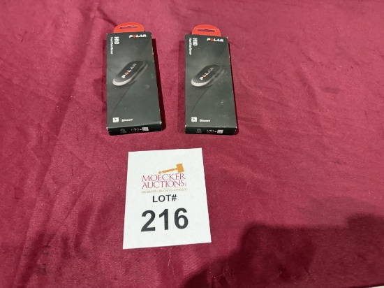 Polar H10 Heart Rate Sensor