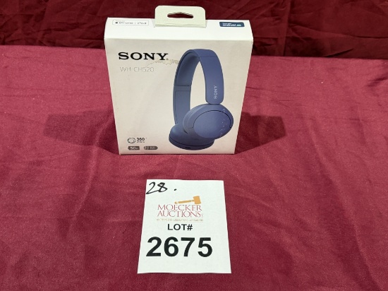 Sony Wh-Ch520 Headset (New)