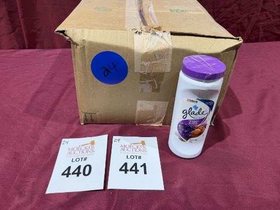 BULK LOT (NEW) PRODUCT CONSISTING (24 +/-)