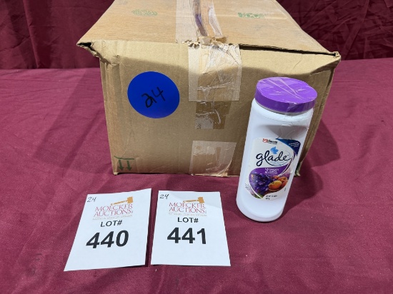 BULK LOT (NEW) PRODUCT CONSISTING (24 +/-)