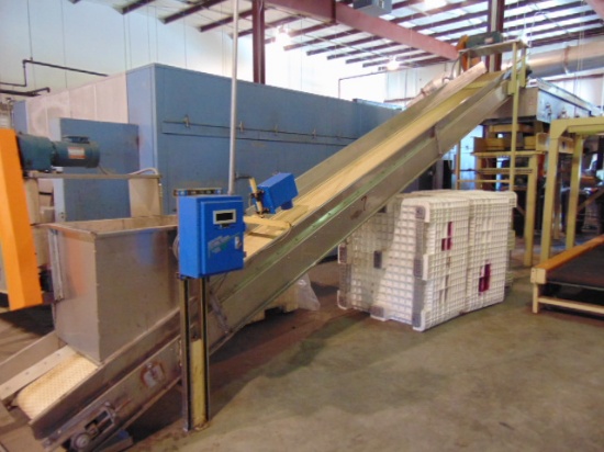 Conveyor System: Stainless and Latex