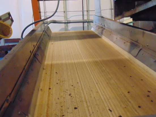 Conveyor and Shaker System