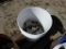 Bucket of stainless steel 2inch pipe T fittness