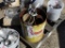 Bucket of stainless steel valves
