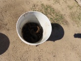 Bucket of chain