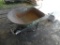 True Temper wheel barrow
