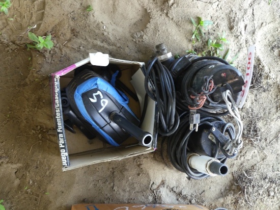 (3) Pumps