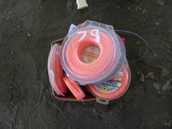 Weedeater string