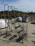 Cotterman 5step warehouse ladder