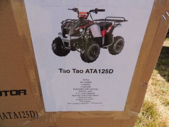 New Tao Youth Boulder B1 107cc ATV