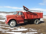 1969 Chevy 50 Grain Truck, Steel box, hoist, with seed tender auger