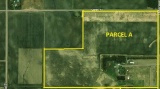 Parcel A: 200 acres +/- farmaland with homestead and some buildings.  Parce