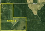 Parcel B: 120 acres +/- farmland parcel number 12011800.  Located in Steven