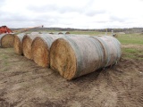 11 round bales of approx.. 50/50 mix alfalfa and grass, net wrapped, 5x5.5