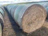 Alfalfa grass mix round bales, 5x5.5, 2nd crop 22 bales from the 2020 seaso