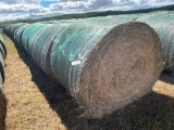 Alfalfa grass mix round bales, 5x5.5, 3rd crop 22 bales from the 2020 seaso