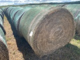 Alfalfa grass mix round bales, 5x5.5, 3rd crop 22 bales from the 2020 seaso