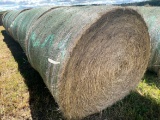 Grass Hay round bales, 5x5.5, 2020 season, sold together, put up with no ra