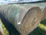 Grass Hay round bales, 5x5.5, 2020 season, sold together, put up with no ra