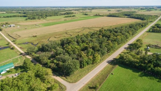 Parcel 4: This property includes 76.12 +/- acres of farm and hunting land w