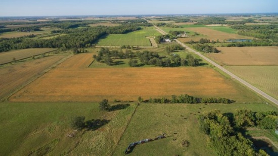 Parcel 5: This property includes 40 +/- acres of farm and hunting land with
