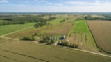 Parcel 3: This property includes 80 +/- acres of farm and hunting land with