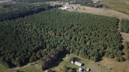 Tract 2: 47.48 Acres of mostly wooded land