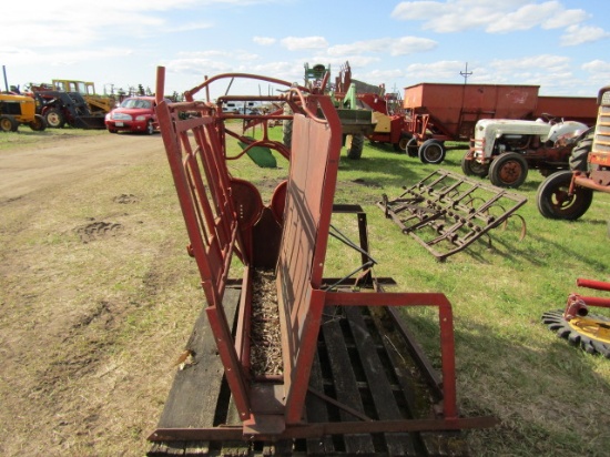 Calf Chute