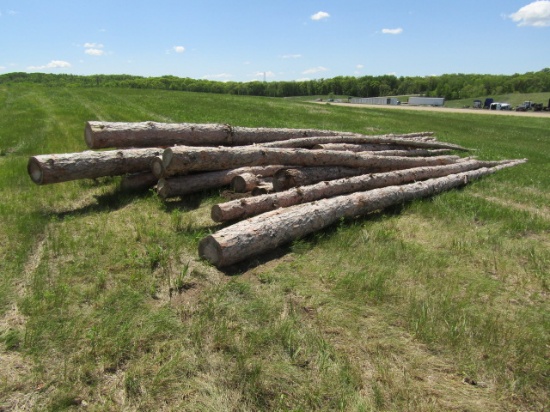 Norway Pine Poles