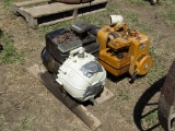 Transfer Pumps