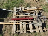 Shop Pallet