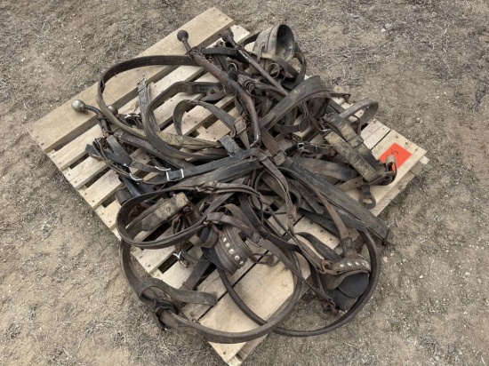 Complete 2 sets Work Harnesses