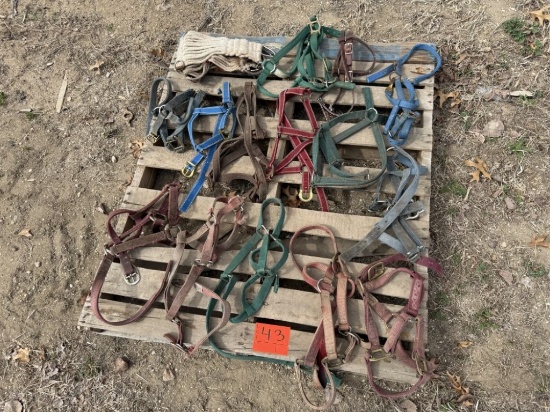 Pallet of Halters