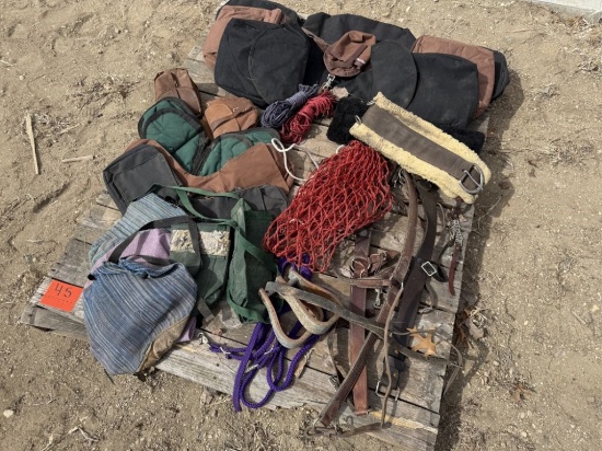 Pallet of Misc. Horse Items