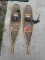 Pair of Snow Shoes