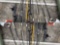 Approximately 15 Rods, some with Reels
