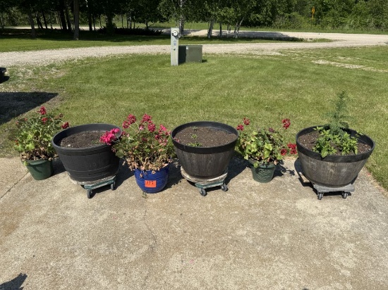 6 Planters all to go